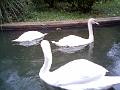 2005-11 WE Cevennes 066